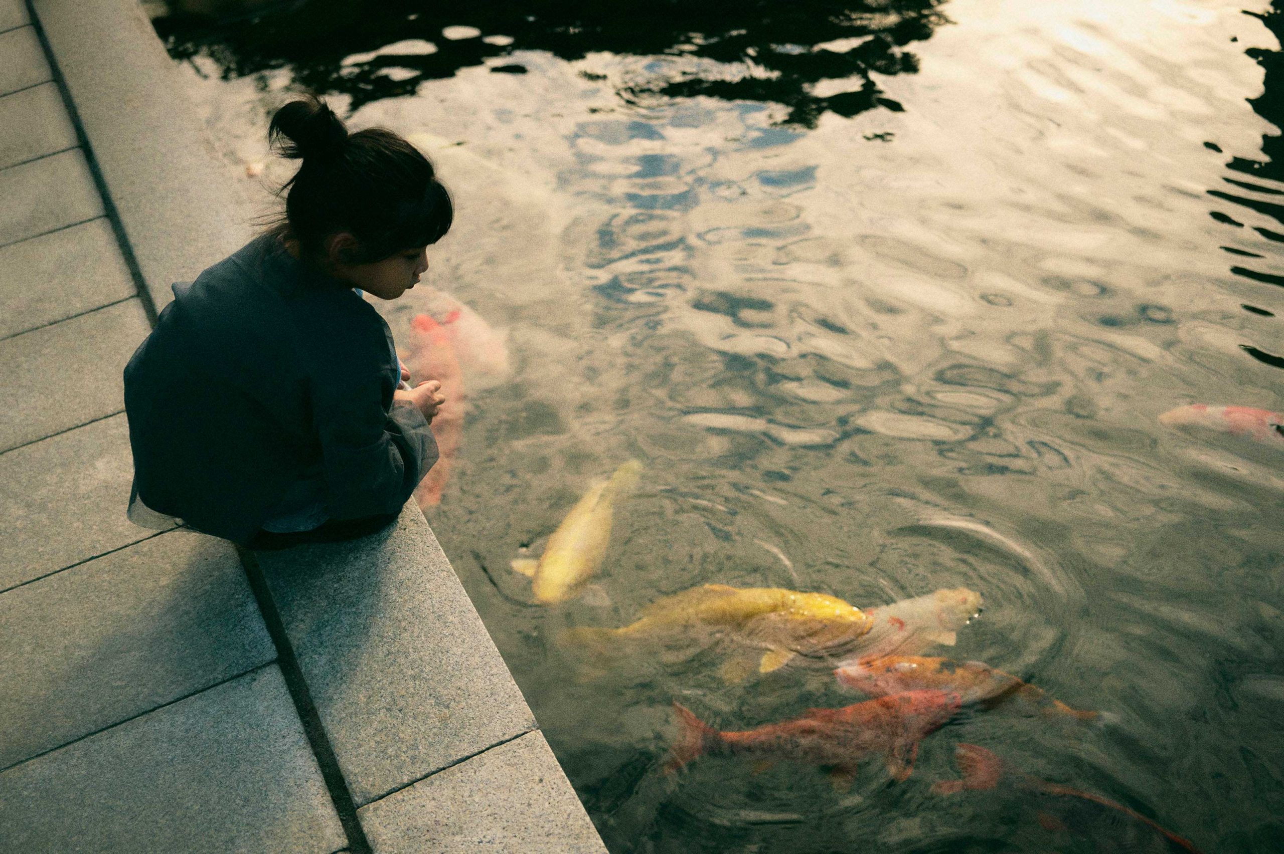 Olly Burn – NEW PUBLICATION September, 7pm